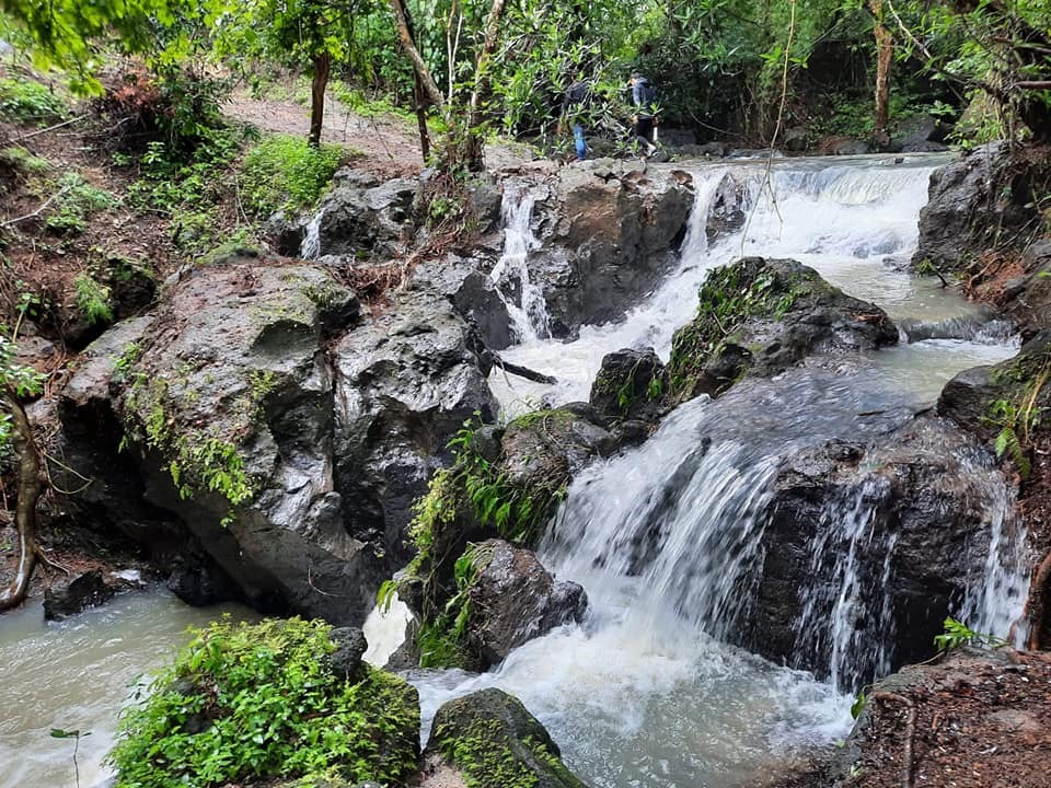 El Fascinante Mundo de la Biodiversidad en Costa Rica